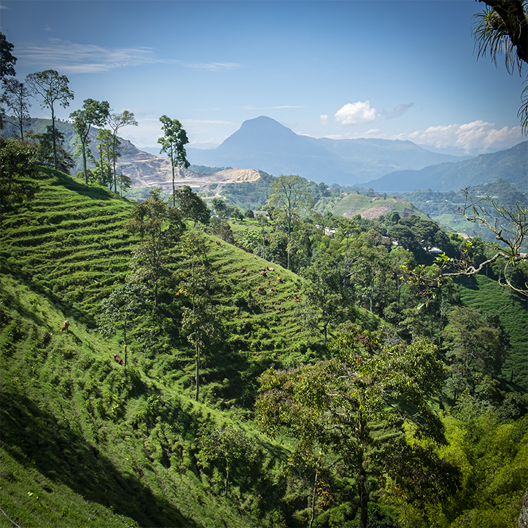 Kolumbien Finca Guayacanes Ausblick
